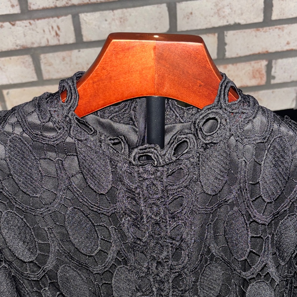 Never worn Black Lace Dress 👗 knee length lining. High neck, long sheer sleeves